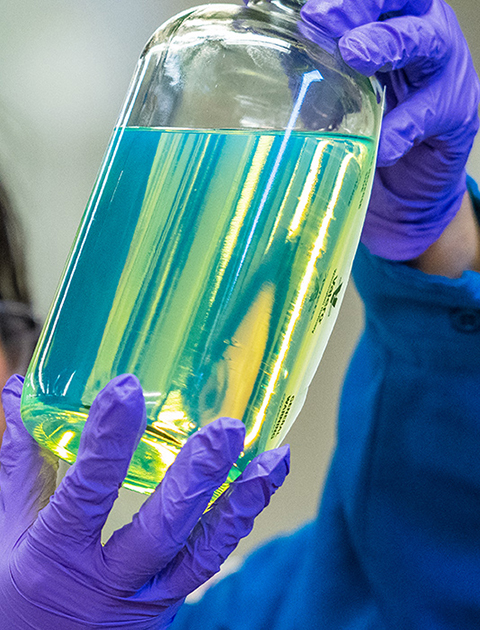 Manufacturing Industry